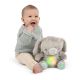 Ingenuity Heart to Hugs Sylvi Soothing Plush Toy (23cm tall)